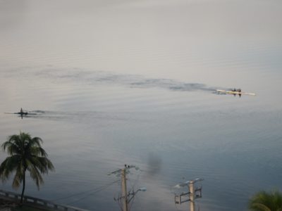 A few of the shells visible from our hotel in Cienfuegos